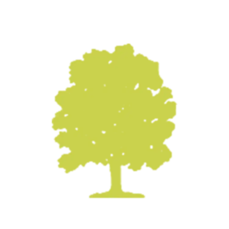 Oak Capital Group